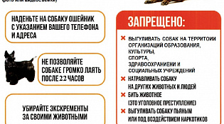 Правила выгула собак